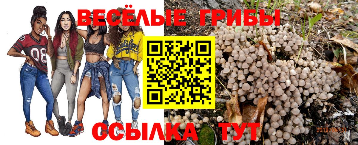 закладки  Вход с VPN  Галлюциногенные грибы Magic Shrooms  Россошь  Галлюциногенные грибы прущие грибы 